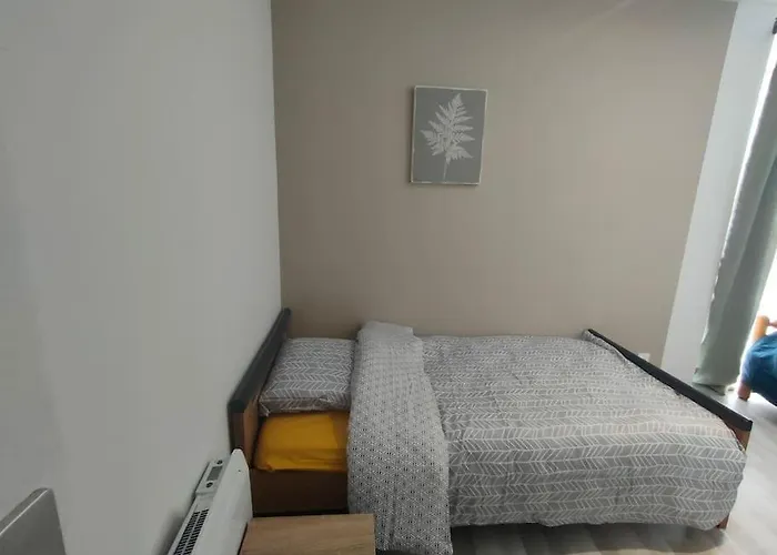 Appartement Familial En Centre Ville