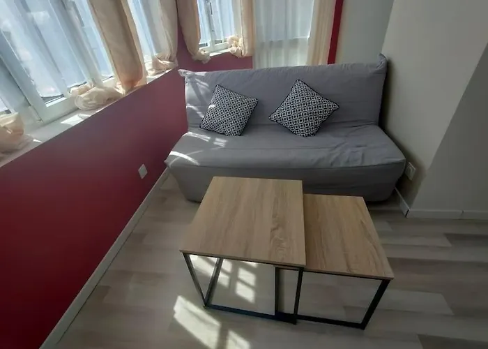 Appartement Familial En Centre Ville