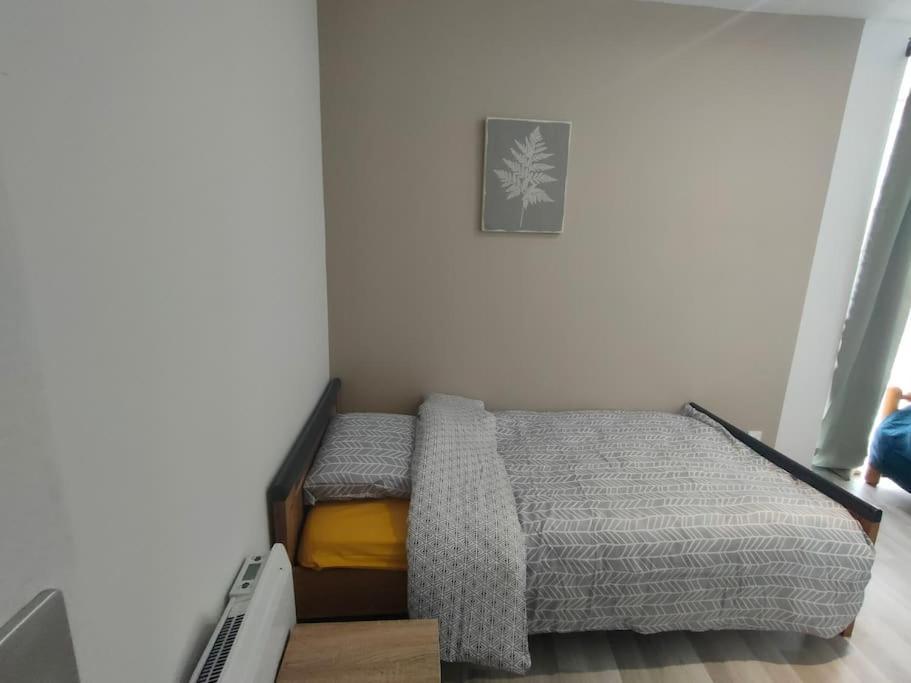 Apartment Familial En Centre *